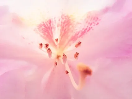 Healing Gateway Meditation