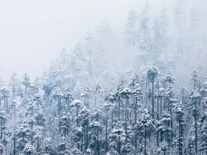 Gong With Blizzard Sounds (Short Version)