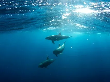 Healing Grief: Healing Freedom Prayer