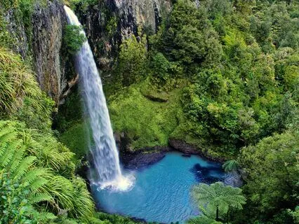 Healing Guided Meditation For Your Body And Mind