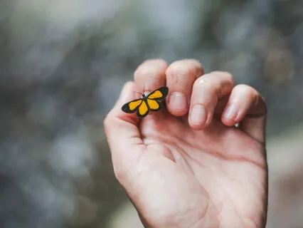 Healing Guided Visualization