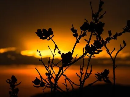 Healing Handpan Music: DESTINY (Part 1)