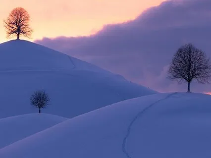 Healing Handpan Music: DESTINY (Part 2)