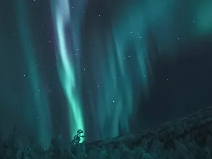 Healing Harmonies - Let Go Lullaby