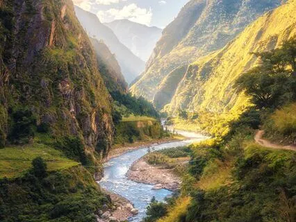 Healing Harmony: Alleviate Anxiety