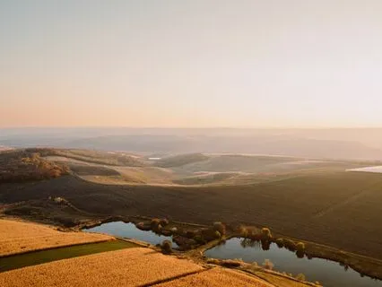 Healing Harmony: Alleviate Stress And Anxiety