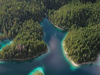 Healing Harmony: Find Calm In Chaos