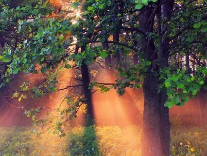 Healing Harmony: Letting Go of Anxiety