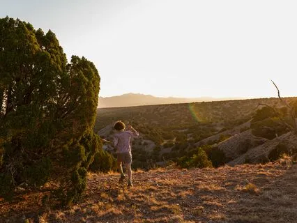 Healing Harmony: Music For Anxiety Relief