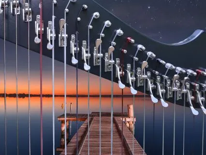 Healing Harp Dreams II: Everything You Water Grows