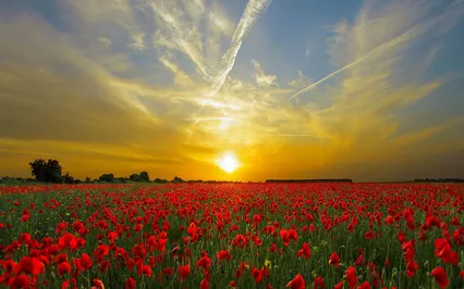 Healing Heart Chakra Meditation & Sound Bath - Improve Sleep