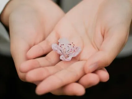 Healing Heart: Forgiveness During A Divorce Or Breakup