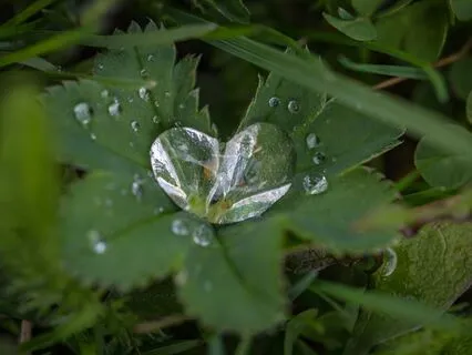 Healing Heart Hug (Extended Version)