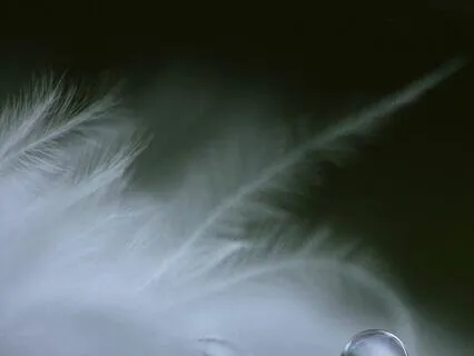 Healing Hearts: A Guided Meditation For Grief