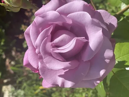 Healing Humming And Singing Mantra