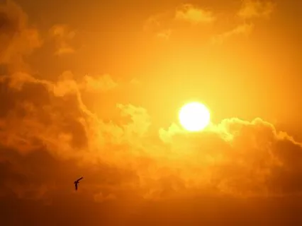 Healing Hymns 7 |  Restoring Faith In The Divine