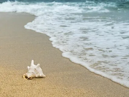 Healing In Nature - The Ocean