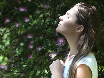 Healing In Stillness