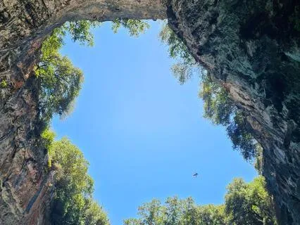 Healing In Your Personal Healing Chamber Meditation