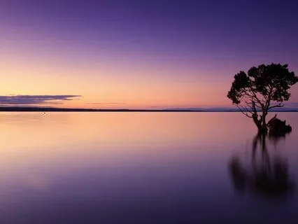 Healing Indigo Harp - Sweet Melodies - Uplifting Spirit