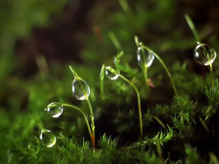 Healing Inner Child: Deep Transformation