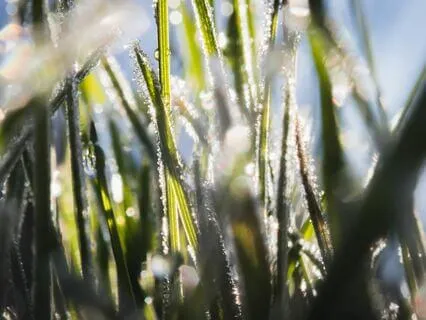 Healing Inner Numbness And Becoming Fully Alive