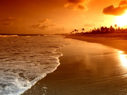 Healing Invalidation With Self-Validation (Talk And Meditation)