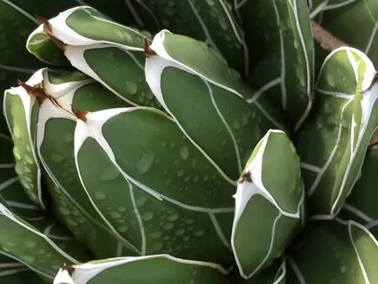 Healing Is A Journey