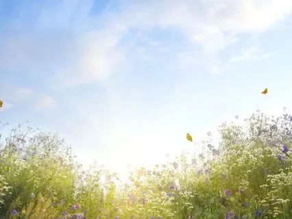 Healing Is Happening: A 528 Hz Affirmation Activation