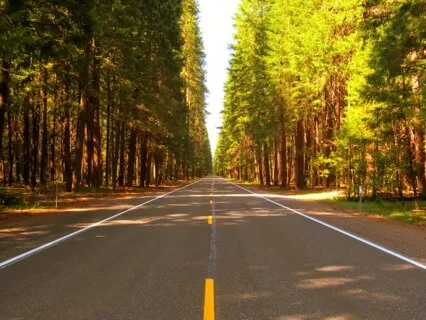 Healing Is Hard & That's Okay EFT Tapping Meditation