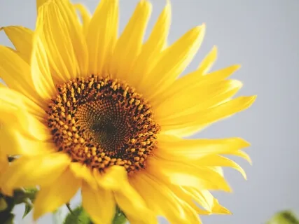 Morning Meditation - Deep Within Ourselves