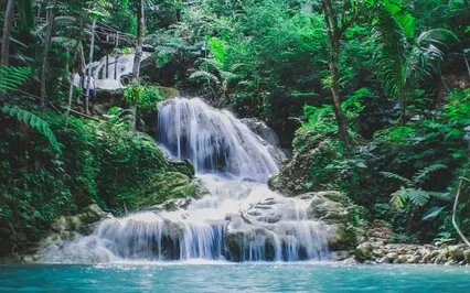 Healing Journey For Low Mood 