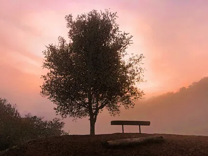 Healing Grief Through Music - Guitar Piano Medley