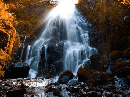 Healing Journey Meditation