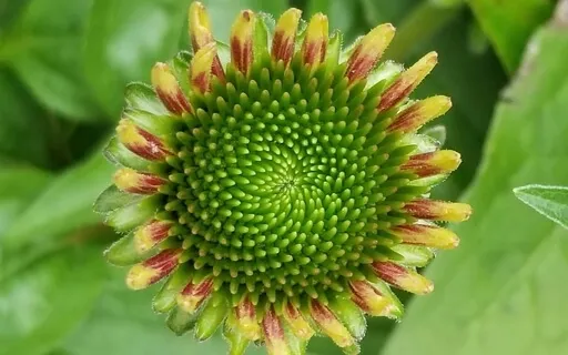 Healing Journey  With Breath Work And Going Within