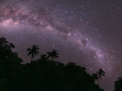 Healing Jungle Sounds For Relaxation & Sleep