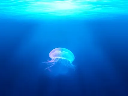 Healing Light & Water