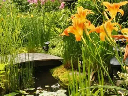 Healing Light For Cancer Support: Deep Rest & Sanctuary