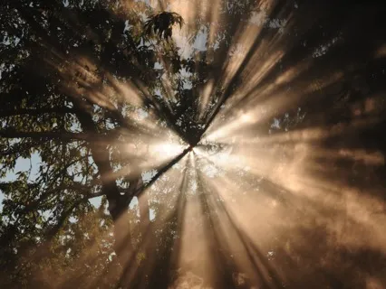 Healing Light — Healing Heart