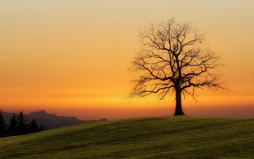 Healing Light Meditation