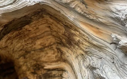 Healing Light Meditation