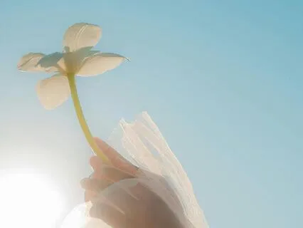 Healing Light Meditation (With Mini Body Scan)