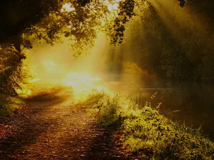 Healing Light Meditation