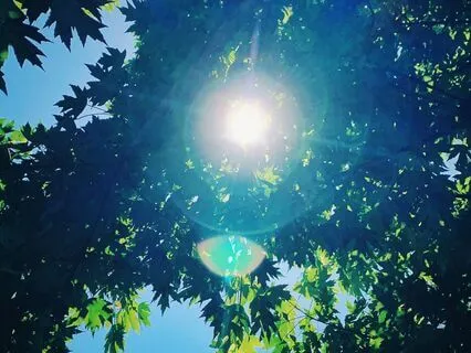 Healing Light Meditation