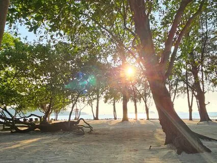 Healing Light Meditation