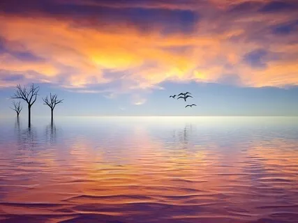 Healing Light To The Soul World