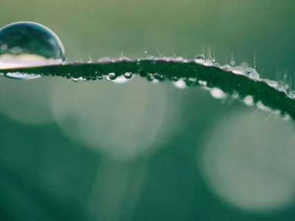 Healing Light Visualization Body Scan