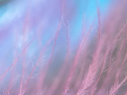 Healing Manifestation