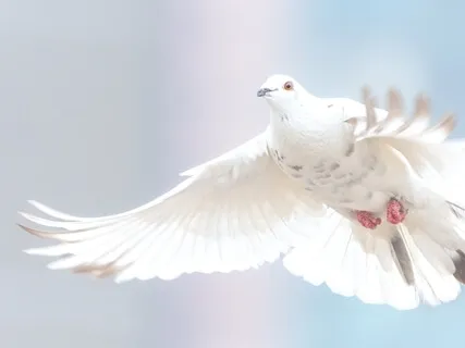 Healing Mantra For Inner Peace | Om Shanti Om Sanskrit Mantra