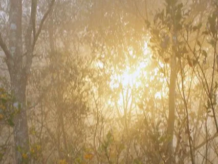 Healing Mantra: Ho’oponopono For Emotional Balance